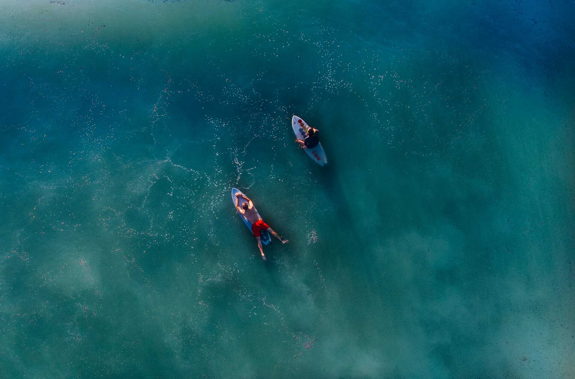 2 People Swimming in Blue Water